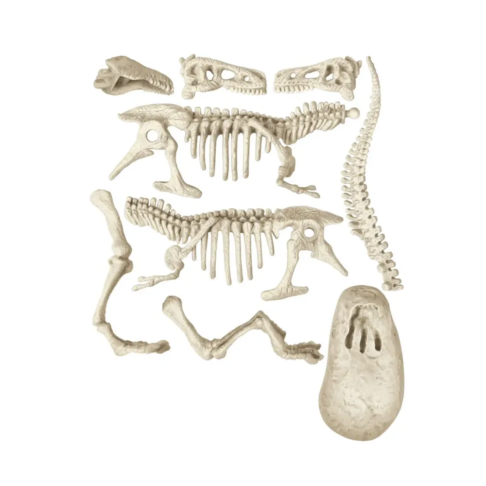 Discount Clementoni 19345 Archeogiocando T-Rex Tricerat Giochi Scientifici