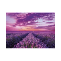 Hot 39606 Puzzle 1000 Hqc Lavender Field 70 X 50 Cm Puzzle 1000 Pezzi