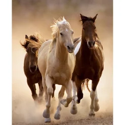 Discount 39168 Puzzle 1000 Hqc Running Horses 70 X 50 Cm Puzzle 1000 Pezzi