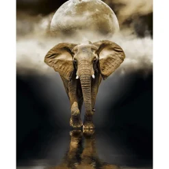Clearance 39416 Puzzle 1000 Hqc The Elephant 70 X 50 Cm Puzzle 1000 Pezzi