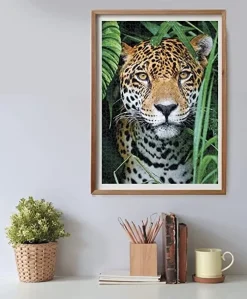 Outlet High Quality Collection Puzzle Jaguar In The Jungle 500 Pezzi Puzzle 500 Pezzi