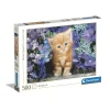 New Puzzle High Quality Collection Ginger Cat 500 Pezzi, Puzzle Adulti Puzzle 500 Pezzi