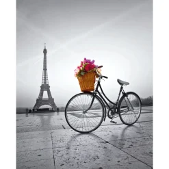 Sale Puzzle High Quality Collection Romantic Promenade In Paris 500 Pezzi, Puzzle Adulti Puzzle 500 Pezzi