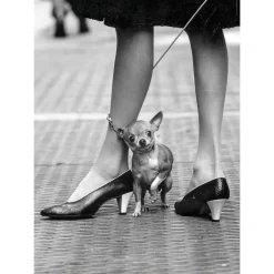 Clearance Puzzle Life Magazine Puzzle Adulti 1000 Pezzi Puzzle 1000 Pezzi