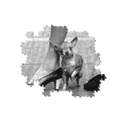 Clearance Puzzle Life Magazine Puzzle Adulti 1000 Pezzi Puzzle 1000 Pezzi