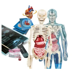 Sale Clementoni Lab Anatomia Super, Laboratorio Scientifico Giochi Scientifici