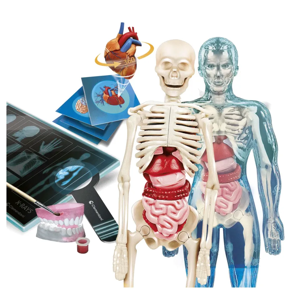Sale Clementoni Lab Anatomia Super, Laboratorio Scientifico Giochi Scientifici