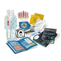 Sale Clementoni Lab Anatomia Super, Laboratorio Scientifico Giochi Scientifici