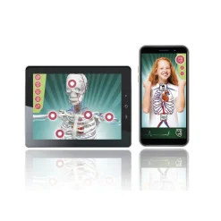 Sale Clementoni Lab Anatomia Super, Laboratorio Scientifico Giochi Scientifici