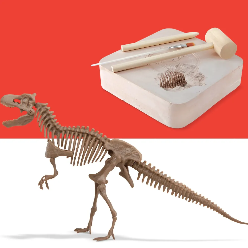 Hot Kit Paleontologo Con Scheletro T-Rex 3D Giochi Stem