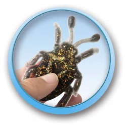 Clearance Magic Glue Colla Magica 5 Insetti Kit Artistici E Pittura