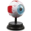 Clearance Occhio Modello Anatomico In 3D Giochi Scientifici