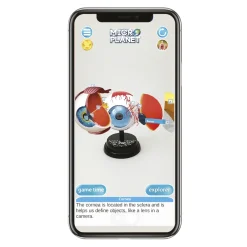 Clearance Occhio Modello Anatomico In 3D Giochi Scientifici