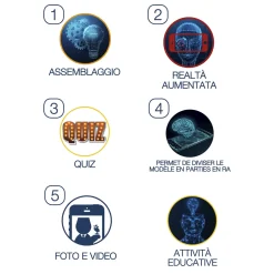 Clearance Occhio Modello Anatomico In 3D Giochi Scientifici