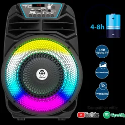 Clearance Party Speaker 100W Tablet E Giochi Interattivi
