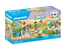 Sale Horse Of Waterfall 71495 Torneo Di Equitazione Dei Pony Per Bambini Dai 4 Anni Costruzioni Bambini