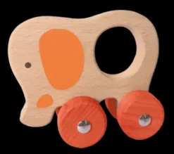 Hot Push Animals Veicoli In Legno