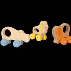 Hot Push Animals Veicoli In Legno