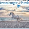 Best 500 Pezzi Cavallo In Spiaggia Puzzle 500 Pezzi