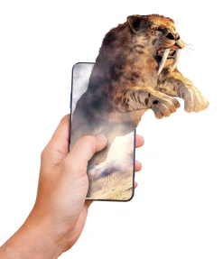 Online Storia Della Vita Sulla Terra Giochi Scientifici