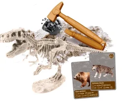 Online Storia Della Vita Sulla Terra Giochi Scientifici