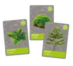 Online Storia Della Vita Sulla Terra Giochi Scientifici