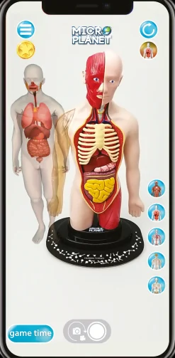 Hot Torso Umano Giochi Scientifici