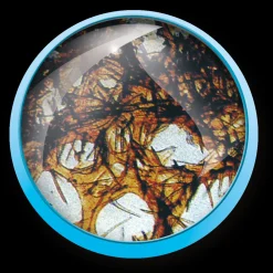 Discount Valigetta Microscopio 1200X Giochi Scientifici