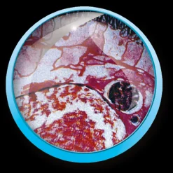 Discount Valigetta Microscopio 1200X Giochi Scientifici